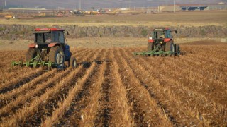 TÜİK Duyurdu: Tarım-ÜFE Aylık Yüzde 4,47 Arttı