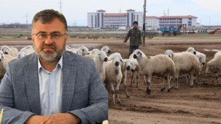 DKKYB Başkanı Aktürk: “50 Bin İthal Çoban Getirmeye Çalışıyoruz”