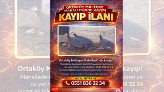 Ortaköy’de bir vatandaş, kayıp tavukları için ilan verdi