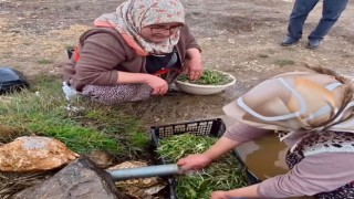 Hayat Sıkıcı Değil, Siz Ot Toplamayı Bilmiyorsunuz