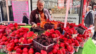 KIŞ MEYVELERİNE ELVEDA, YAZ MEYVELERİNE MERHABA