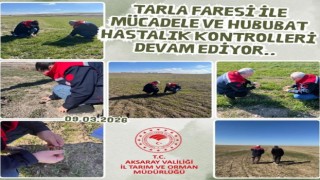 Tarım Müdürlüğü ekipleri, ekili tarlaları tarıyor