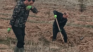 TÜRK HABER SEN FİDANLARI TOPRAKLA BULUŞTURDU