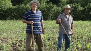 Bakan Yumaklı çiftçiye müjdeyi verdi