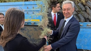 Başkan Zavlak: “Daha Yeşil Bir Eskil İçin Kararlıyız”  