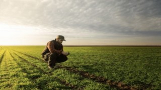 ÇİFTÇİLERE 17,3 MİLYAR LİRALIK DESTEK ÖDEMESİ