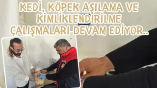 Evcil hayvanlar için aşı ve kimliklendirme seferberliği