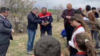 fidanlar, daha yeşil bir gelecek için toprakla buluştu