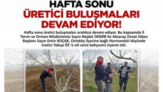 Tarım Müdürü Demir’den ceviz üreticisine ziyaret