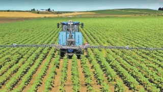 Tarım ÜFE martta artış kaydetti