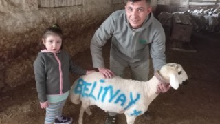 Taşpınar’da kurbanlık mesaisi başladı