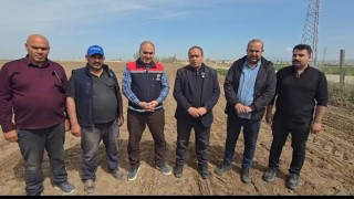 Üretici kolları sıvadı, siyah altın ekimi başladı