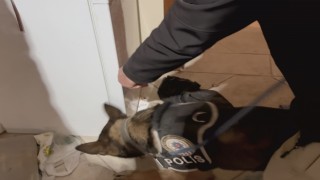 Uyuşturucu tacirlerine şok baskın! 4 kişi tutuklandı