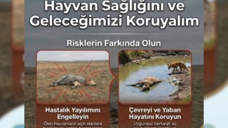 Yanlış bertaraf hastalık saçıyor: “Risklerin farkında olun!”