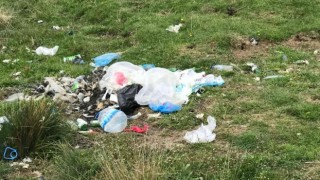 Gedik yolunda çevre kirliliği isyanı: Hayvanlarımız plastik yiyor!
