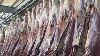 Kırmızı et üretimi azaldı