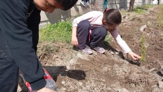 Öğrenciler fidan dikerek geleceğe iz bıraktı
