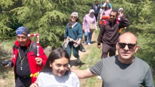 Yargı camiası Balcı Ormanı'nda buluştu