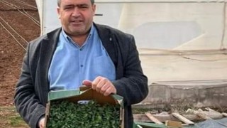 Ziraat Odası’nda fide satışları başladı