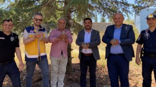 Ağaçören’de keklikler doğaya salındı