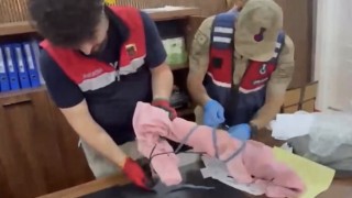 Aksaray dahil 26 ilde DEAŞ operasyonu