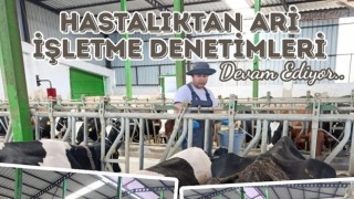 Ari işletmeler mercek altında