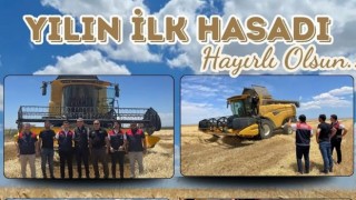 Eskil’de sezonun ilk arpa hasadı başladı