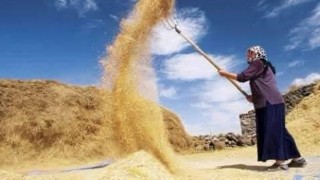 Harman mesaisi başladı