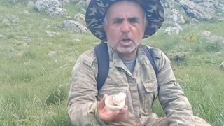 Mantar toplayanlar dikkat! Sakın böyle toplamayın