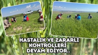 Tarlalarda sıkı kontrol mesaisi