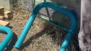 Taşpınar’da kamu malına yazıklar olsun dedirten saldırı
