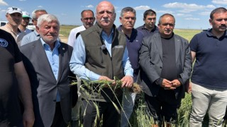 TZOB Başkanı Bayraktar: 25 bin dekar tarım arazisi zarar gördü
