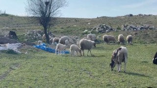 Üreticilere müjde! Sonuçlar açıklandı