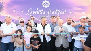 Aksaray Lavanta Bahçesi ziyaretçilerini bekliyor