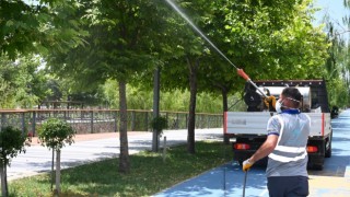 Aksaray’da haşereyle mücadele seferberliği