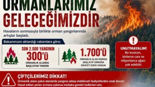Bir kıvılcım milyonlarca ağacı yok etmeye yetebilir