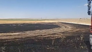Eskil'de anız yangını köylülere panik yaşattı
