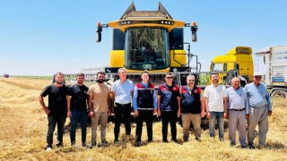 Kaymakam Soydaş’tan Büyük Sekerler Yaylası'nda hasat mesaisi