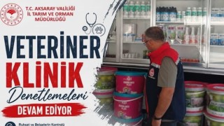 Veteriner kliniklerini mercek altında