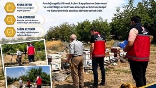Aksaray’da arılı kovanlara yakın takip