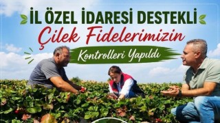 Aksaray’da çilek üretimi için sahada yoğun mesai
