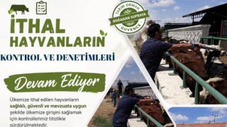 Aksaray’da ithal hayvanlara sıkı sağlık denetimi
