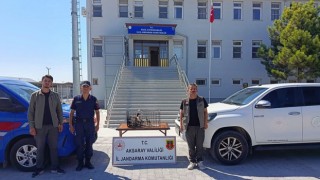Aksaray’da kaçak yaban hayvanı operasyonu