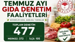 Aksaray'da temmuzda 477 gıda denetimi
