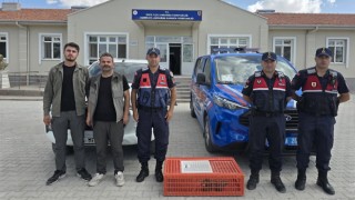 Eşmekaya’da yabani kuş operasyonu