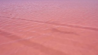 Tuz Gölü’nde pembe sezon başladı