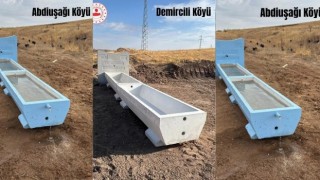Ağaçören’de hayvancılığa can suyu