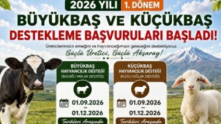 Aksaray’da yetiştiricilere destek: Başvurular başladı