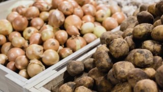 Patates ve soğan üreticilerine destek arttı