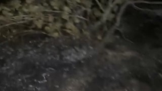 Rüzgâr ateşi büyüttü! Taşpınar’da bağ yangını